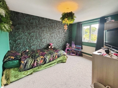 Picture 12